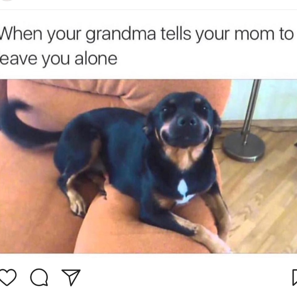 Meet your Posher, Reese